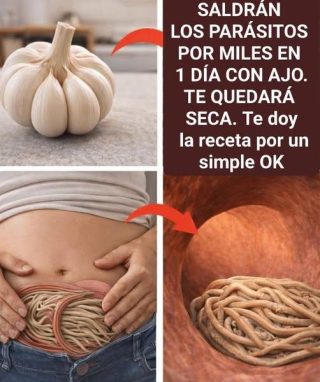 ¿El ajo elimina parásitos en solo 1 día? Lo que realmente debes saber antes de intentarlo… ver más