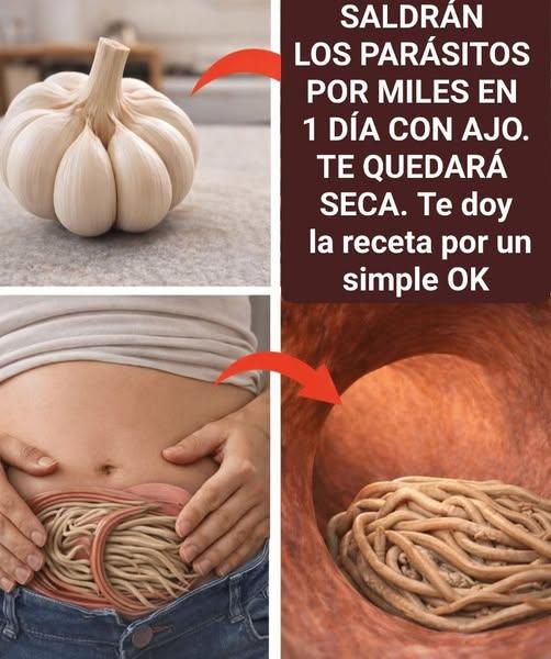 ¿El ajo elimina parásitos en solo 1 día? Lo que realmente debes saber antes de intentarlo… ver más