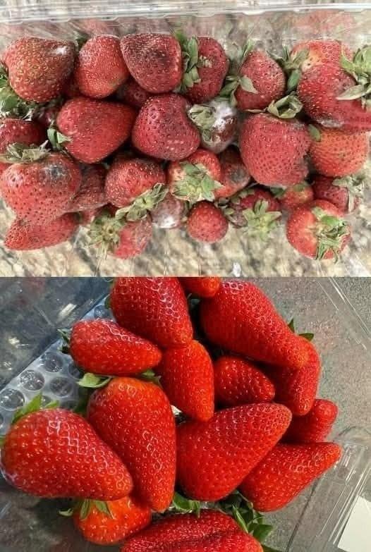 Cómo mantener las fresas frescas más tiempo: 7 consejos de expertos para prevenir el moho y el deterioro