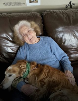 Mientras mi familia peleaba por el testamento de mi abuela, yo me quedé con su querido perro y descubrí el secreto que había dejado atrás — Historia del día