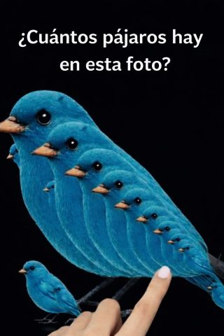 🧩 ¿Cuántos pájaros puedes ver? Haz clic en el enlace para ver el resultado.