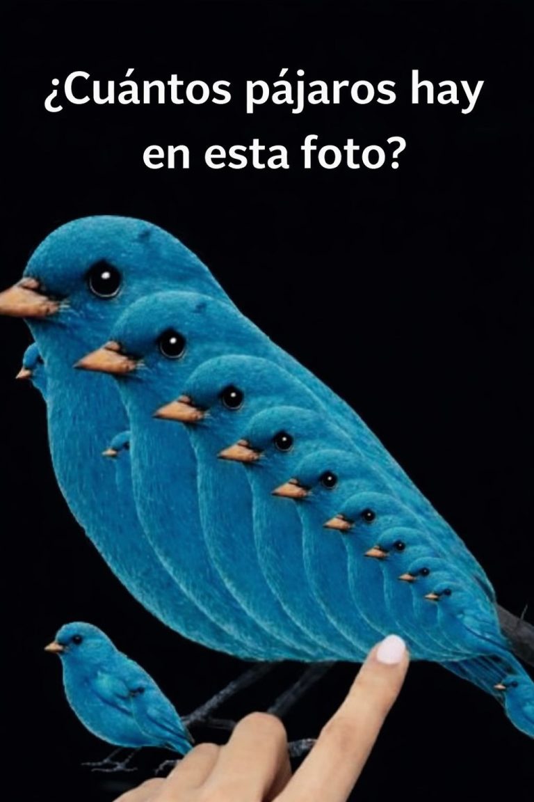 🧩 ¿Cuántos pájaros puedes ver? Haz clic en el enlace para ver el resultado.