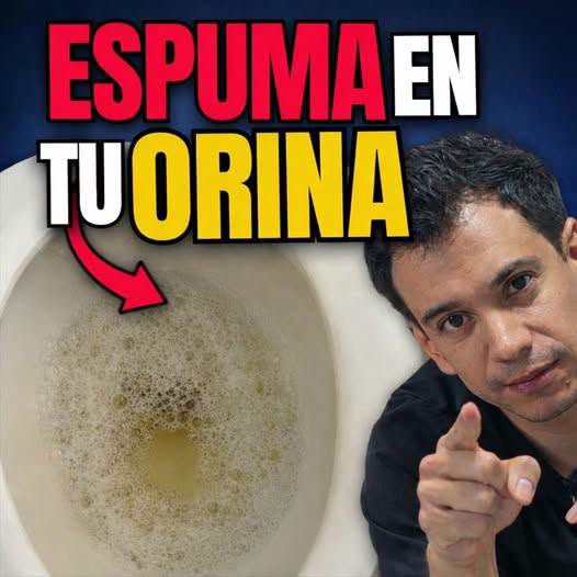 Qué puede indicar la espuma en la orina y cuándo conviene consultar a un profesional de la salud.