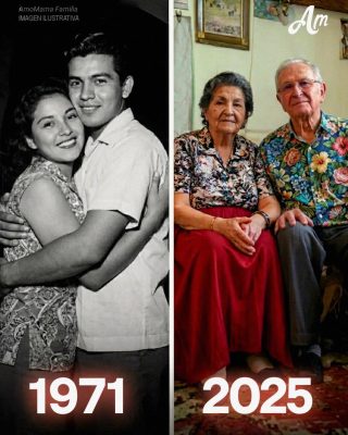 Mi tía robó el dinero destinado a la boda soñada de mis abuelos – Nunca imaginó lo que se avecinaba